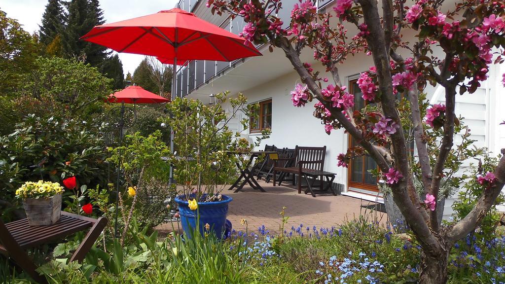 Gesund Wohnen Braunlage